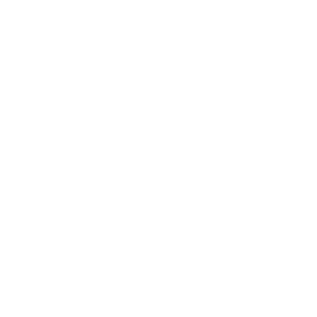 Logo wit StylemyBrand
